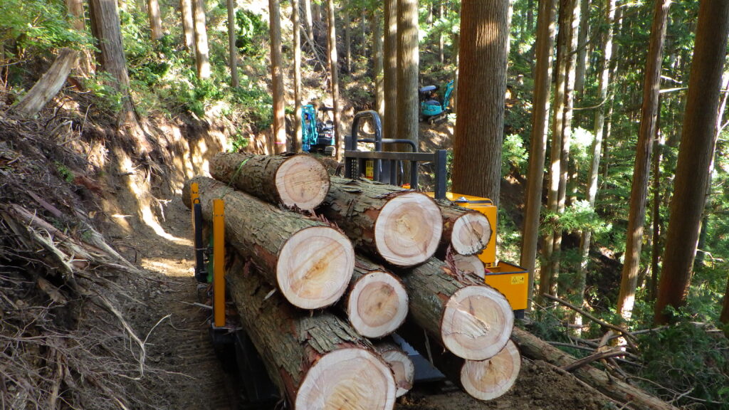 山から伐ってきた木は建材として建築の仕事で積極的に使用する（仙田さん提供）