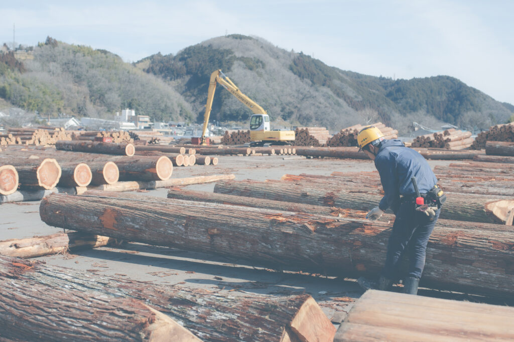 伐り出した材木の寸検作業